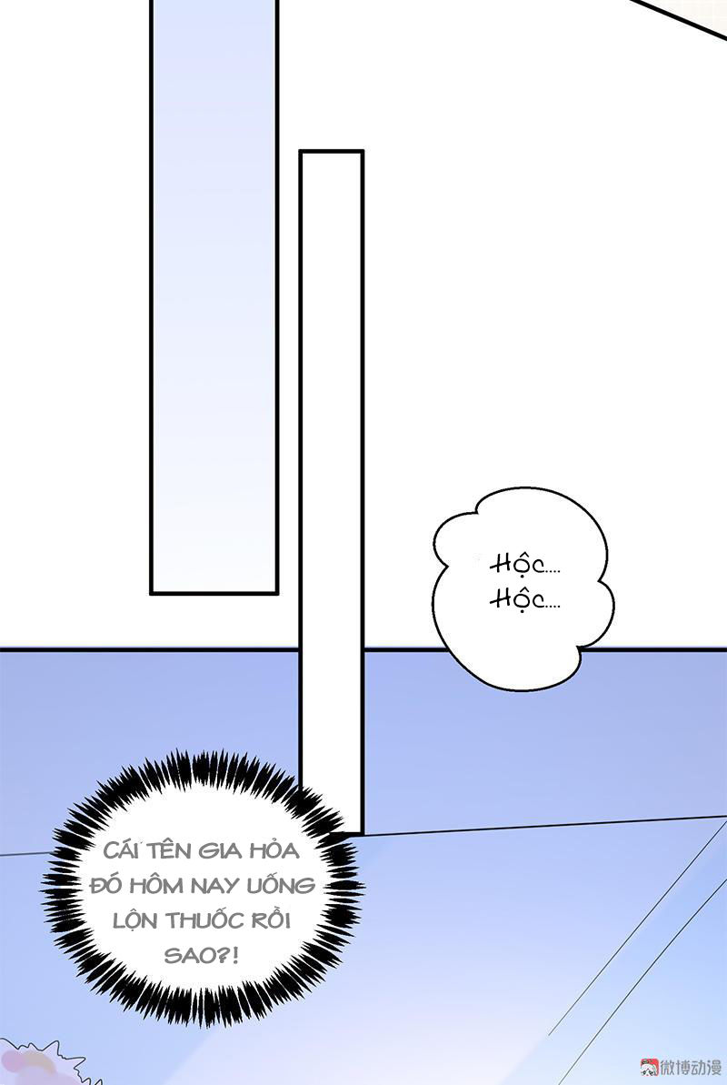 Tổng Tài Truy Thê: Phu Nhân Lại Chạy Trốn - Chương 13 - Trang 44