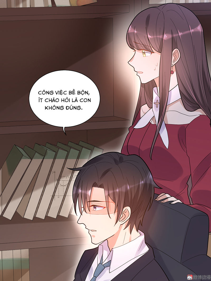 Tổng Tài Truy Thê: Phu Nhân Lại Chạy Trốn - Chương 16 - Trang 12