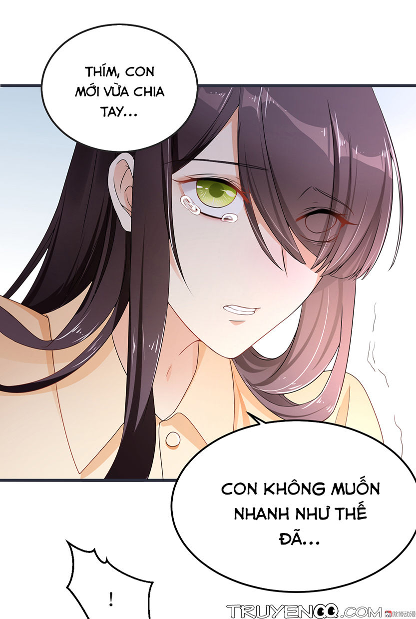 Tổng Tài Truy Thê: Phu Nhân Lại Chạy Trốn - Chương 2 - Trang 15