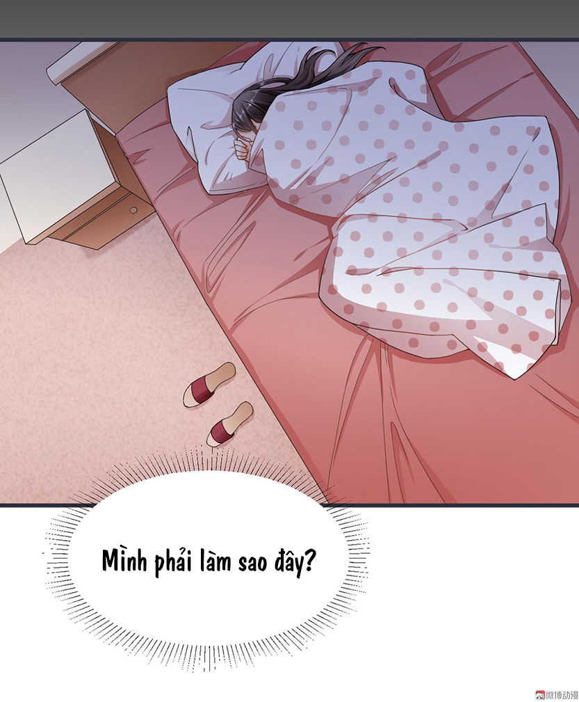 Tổng Tài Truy Thê: Phu Nhân Lại Chạy Trốn - Chương 2 - Trang 5