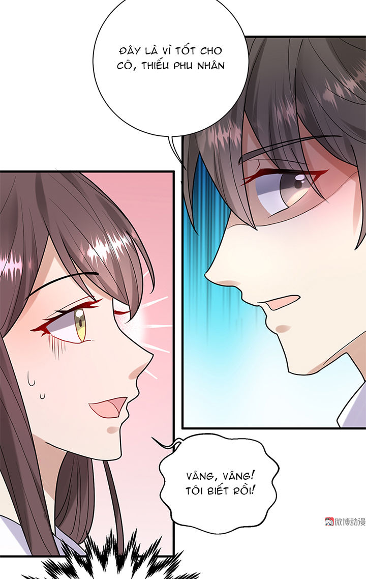 Tổng Tài Truy Thê: Phu Nhân Lại Chạy Trốn - Chương 22 - Trang 15