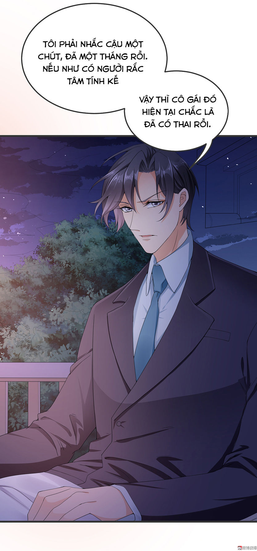 Tổng Tài Truy Thê: Phu Nhân Lại Chạy Trốn - Chương 3 - Trang 8