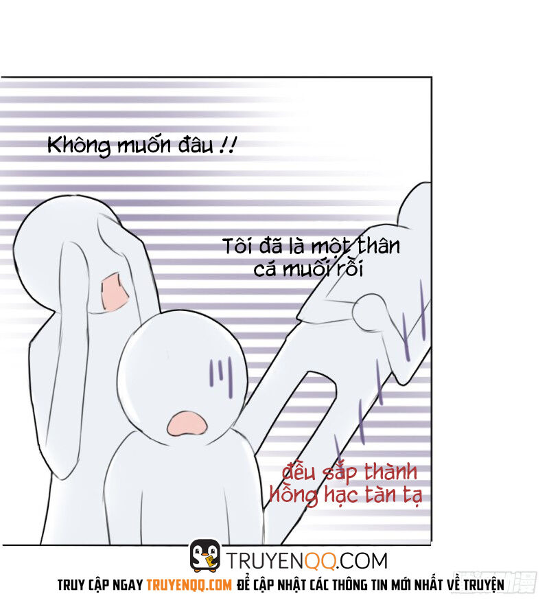 Trùm Trường, Chúng Ta Không Thích Hợp - Chương 10 - Trang 12