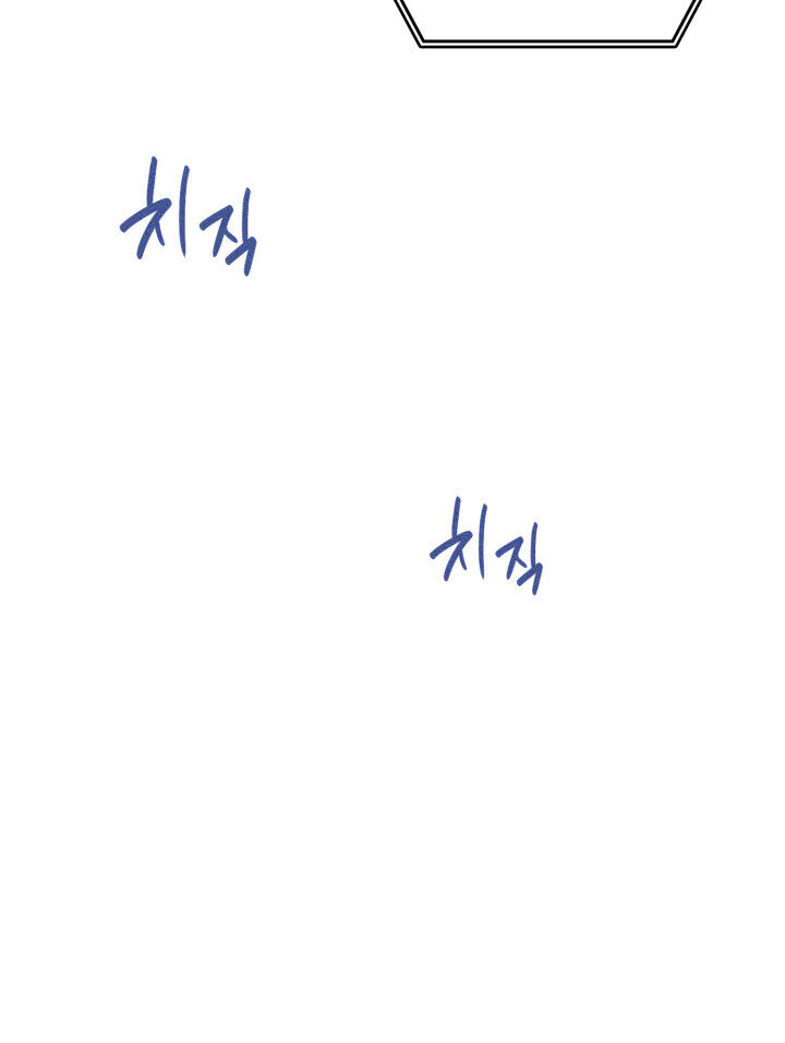 Tôi Trở Lại Thăng Cấp Một Mình - Chương 1 - Trang 95