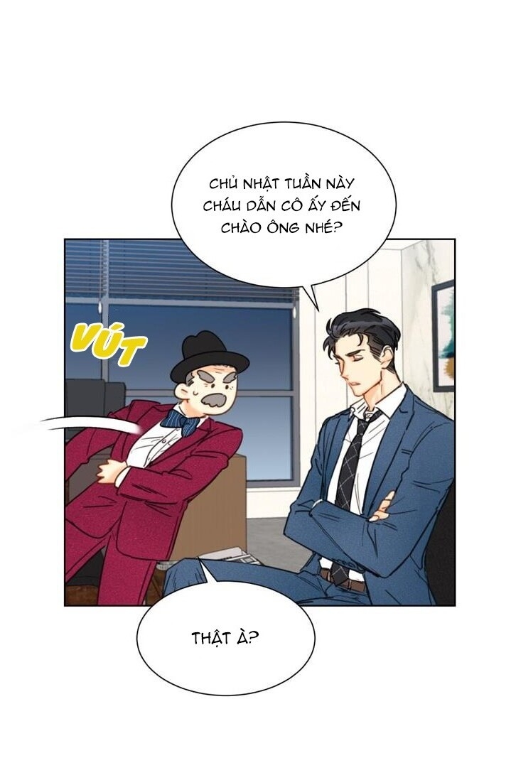 Hẹn Hò Chốn Công Sở - Chương 21 - Trang 19