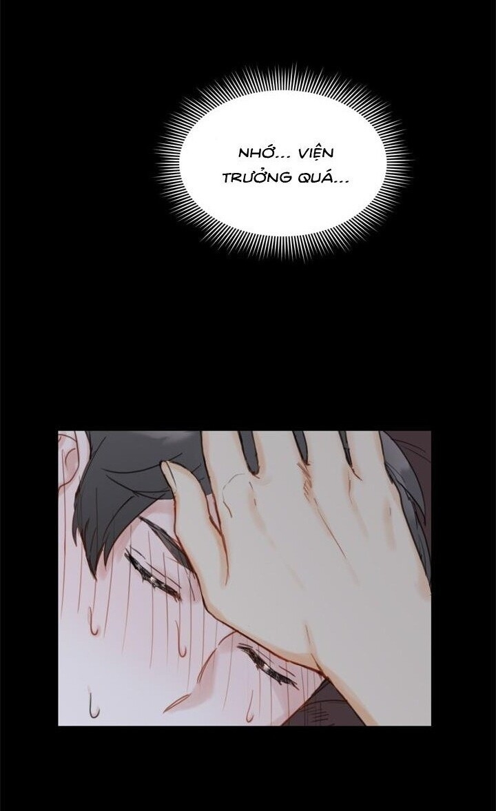 Hẹn Hò Chốn Công Sở - Chương 23 - Trang 21