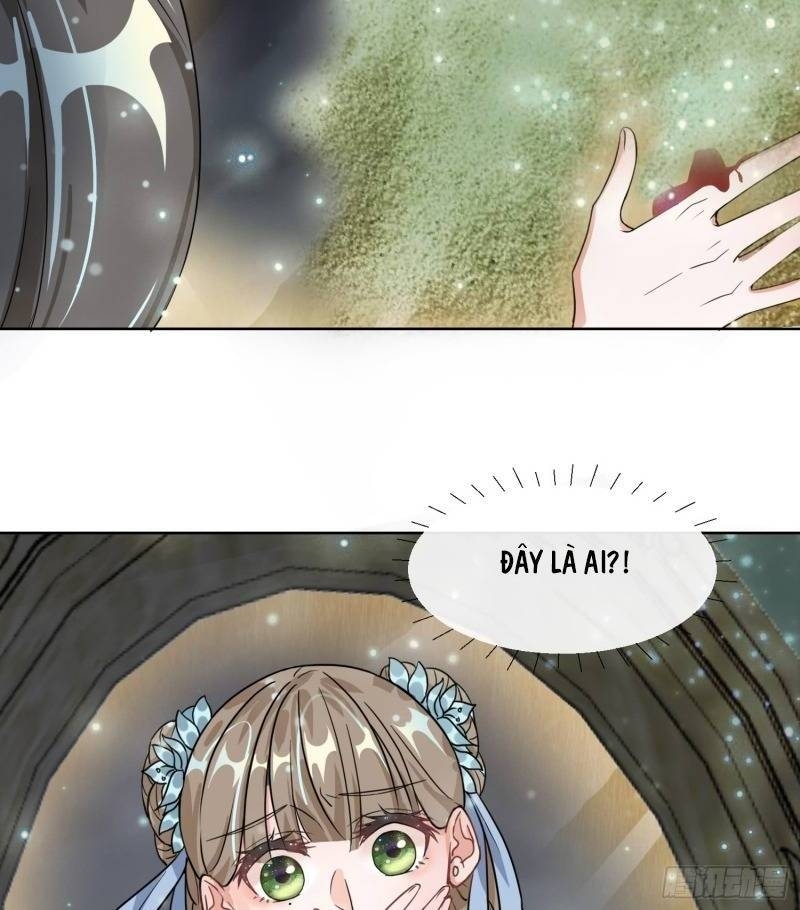 Công Lược Trưởng Thành Của Vương Phi - Chương 1 - Trang 11