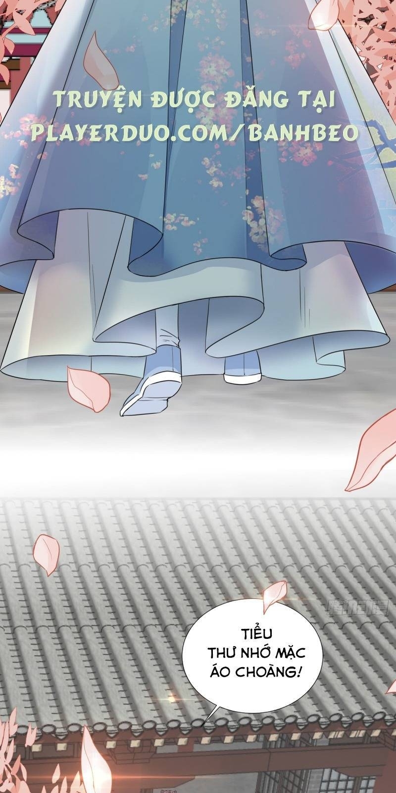 Công Lược Trưởng Thành Của Vương Phi - Chương 2 - Trang 23