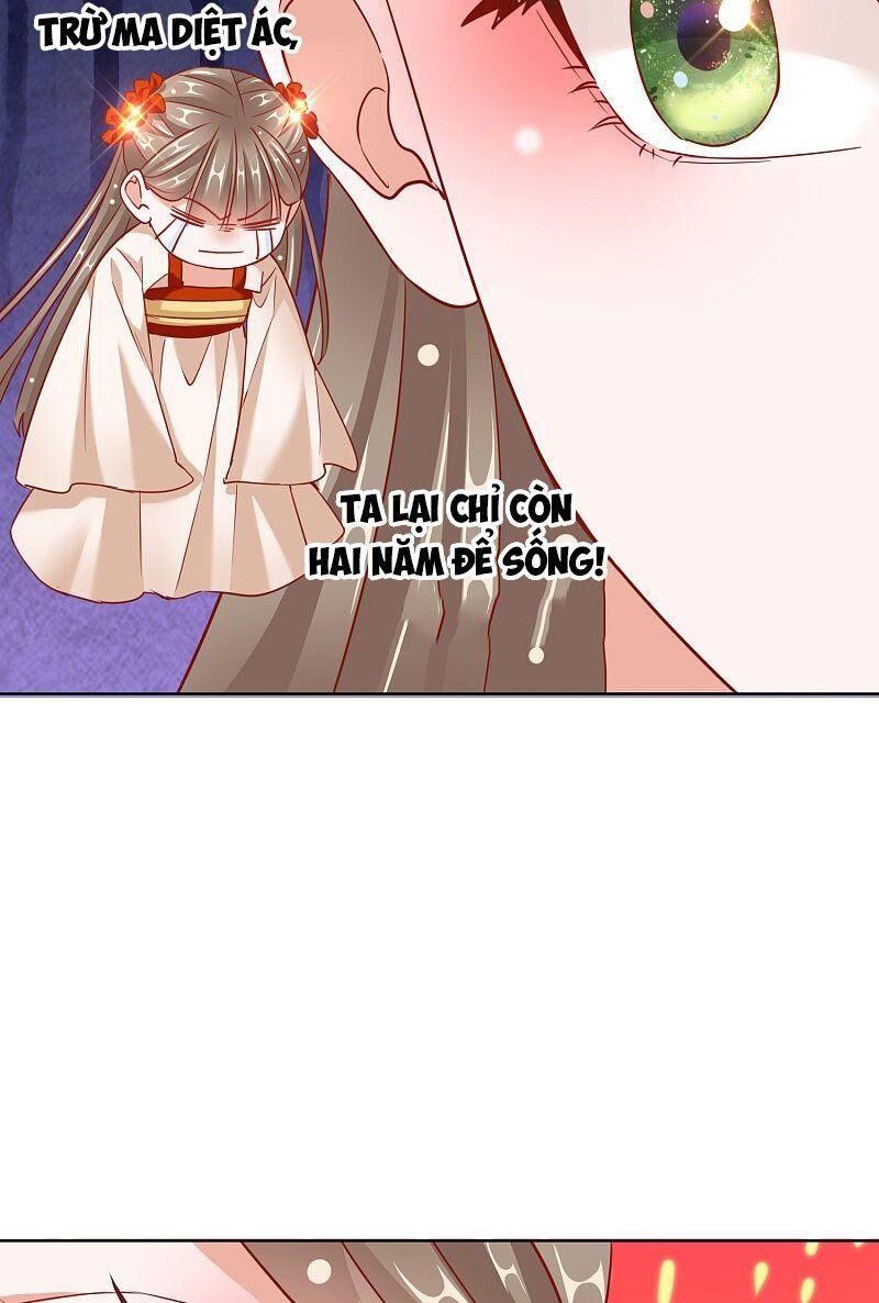 Công Lược Trưởng Thành Của Vương Phi - Chương 27 - Trang 19