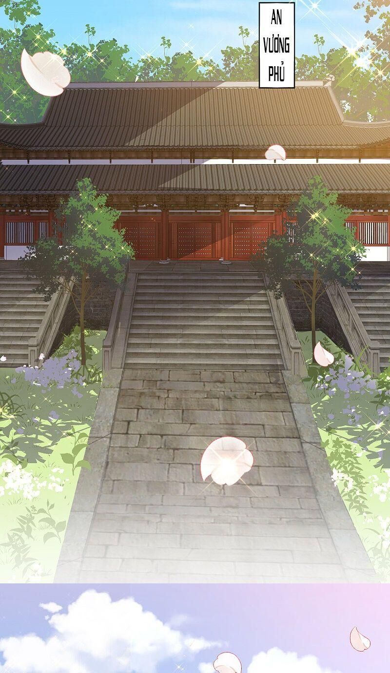Công Lược Trưởng Thành Của Vương Phi - Chương 29 - Trang 11