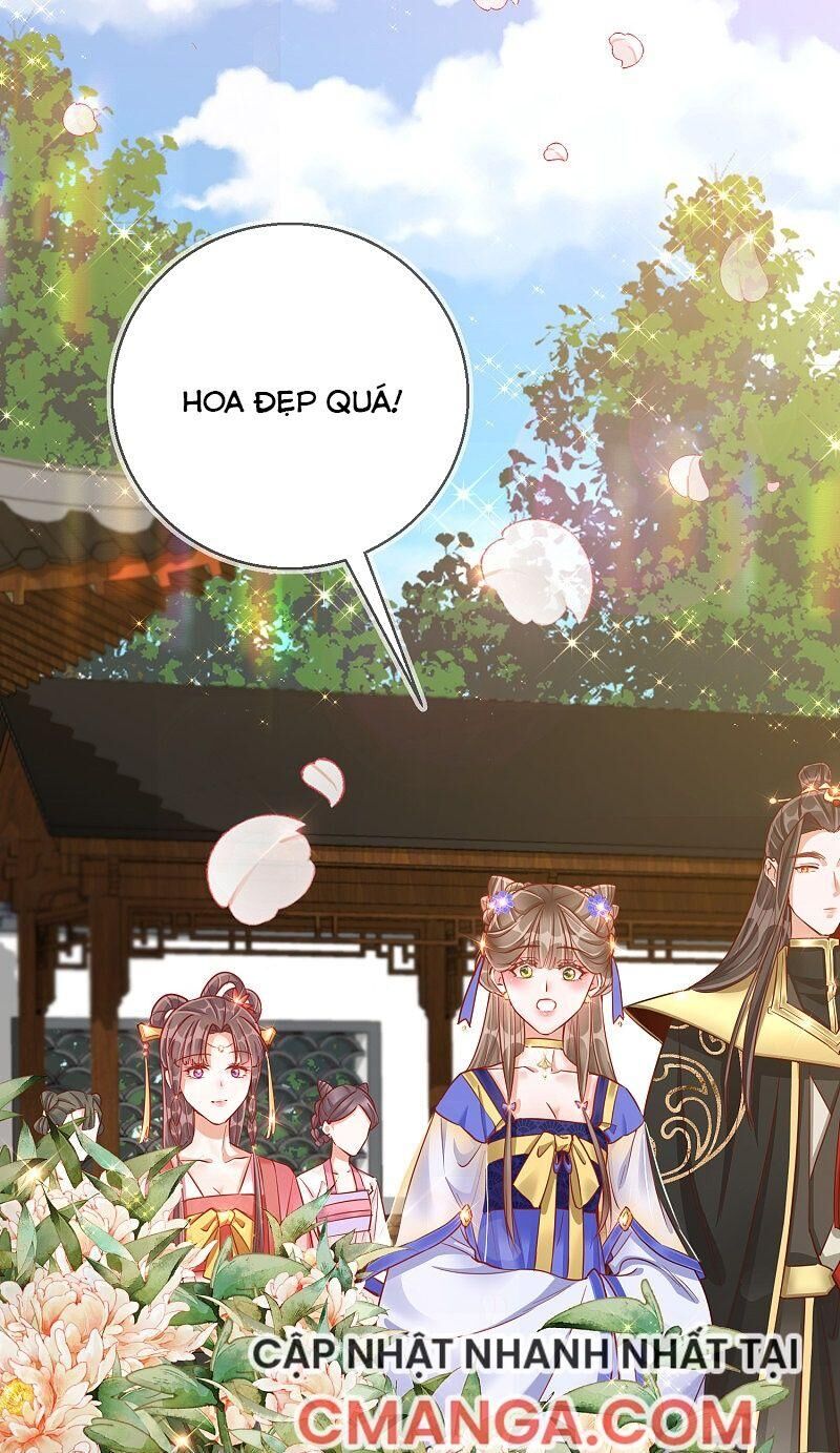 Công Lược Trưởng Thành Của Vương Phi - Chương 29 - Trang 12