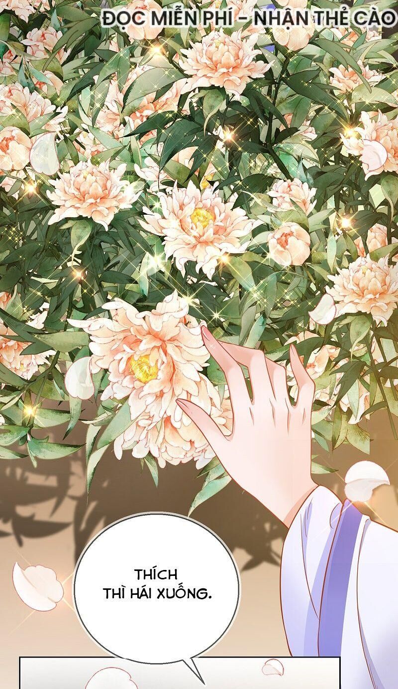 Công Lược Trưởng Thành Của Vương Phi - Chương 29 - Trang 13