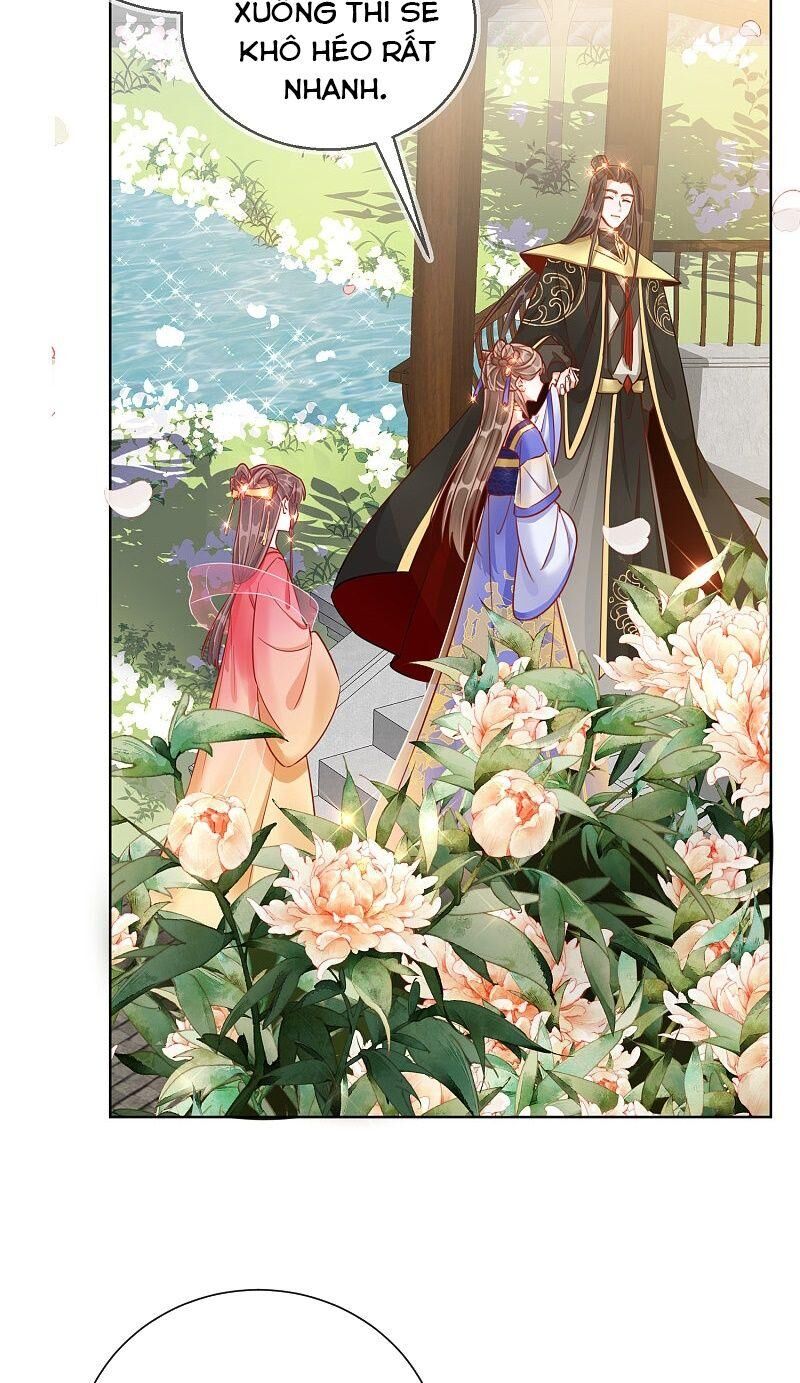 Công Lược Trưởng Thành Của Vương Phi - Chương 29 - Trang 15