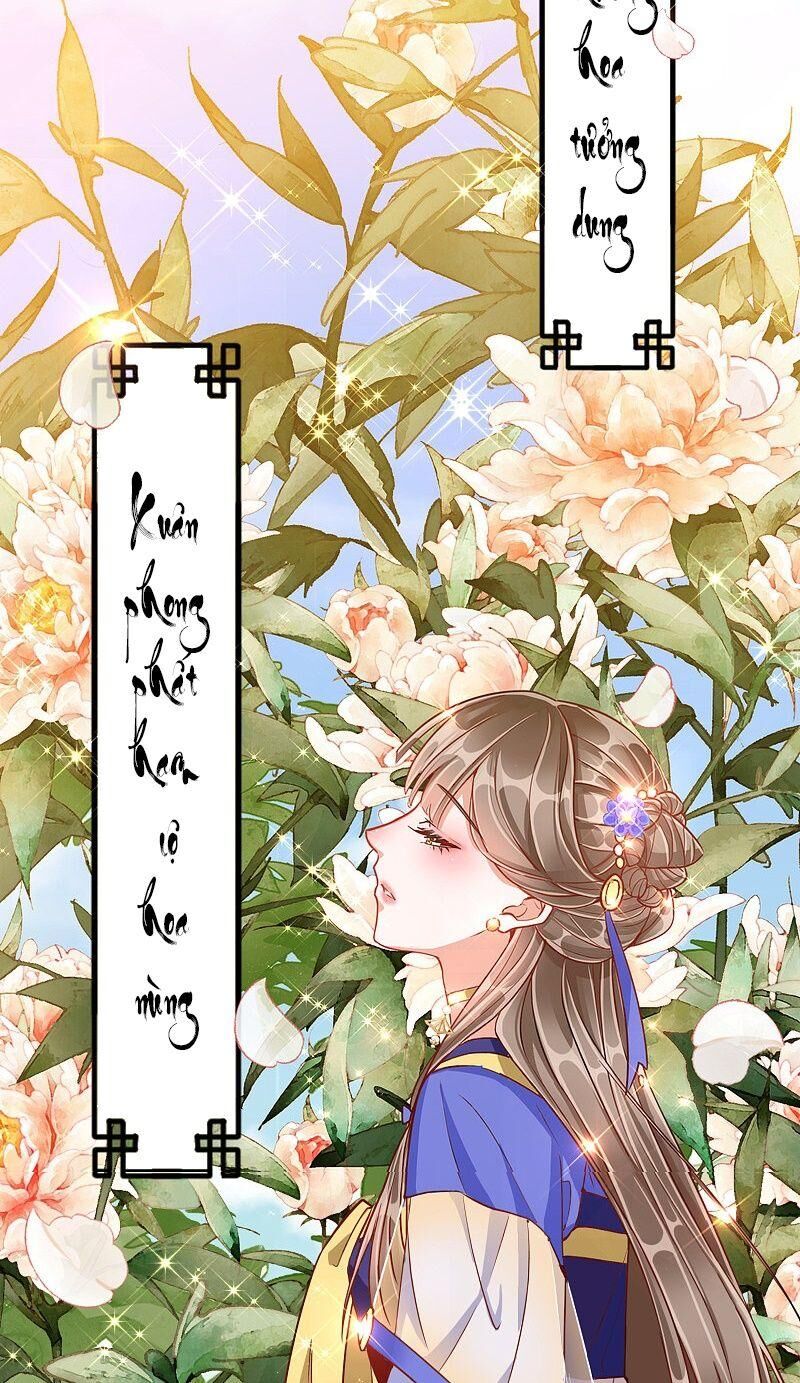 Công Lược Trưởng Thành Của Vương Phi - Chương 29 - Trang 17