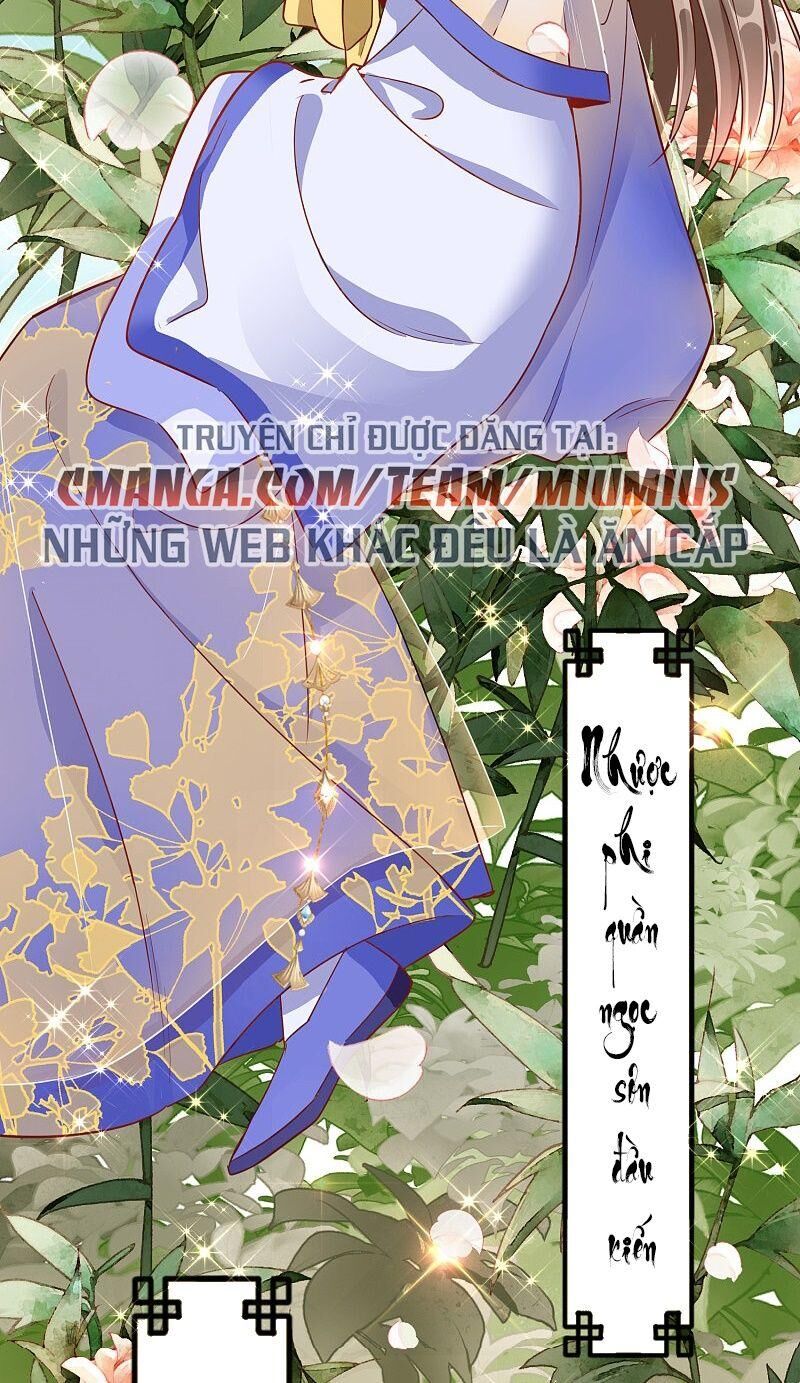 Công Lược Trưởng Thành Của Vương Phi - Chương 29 - Trang 18