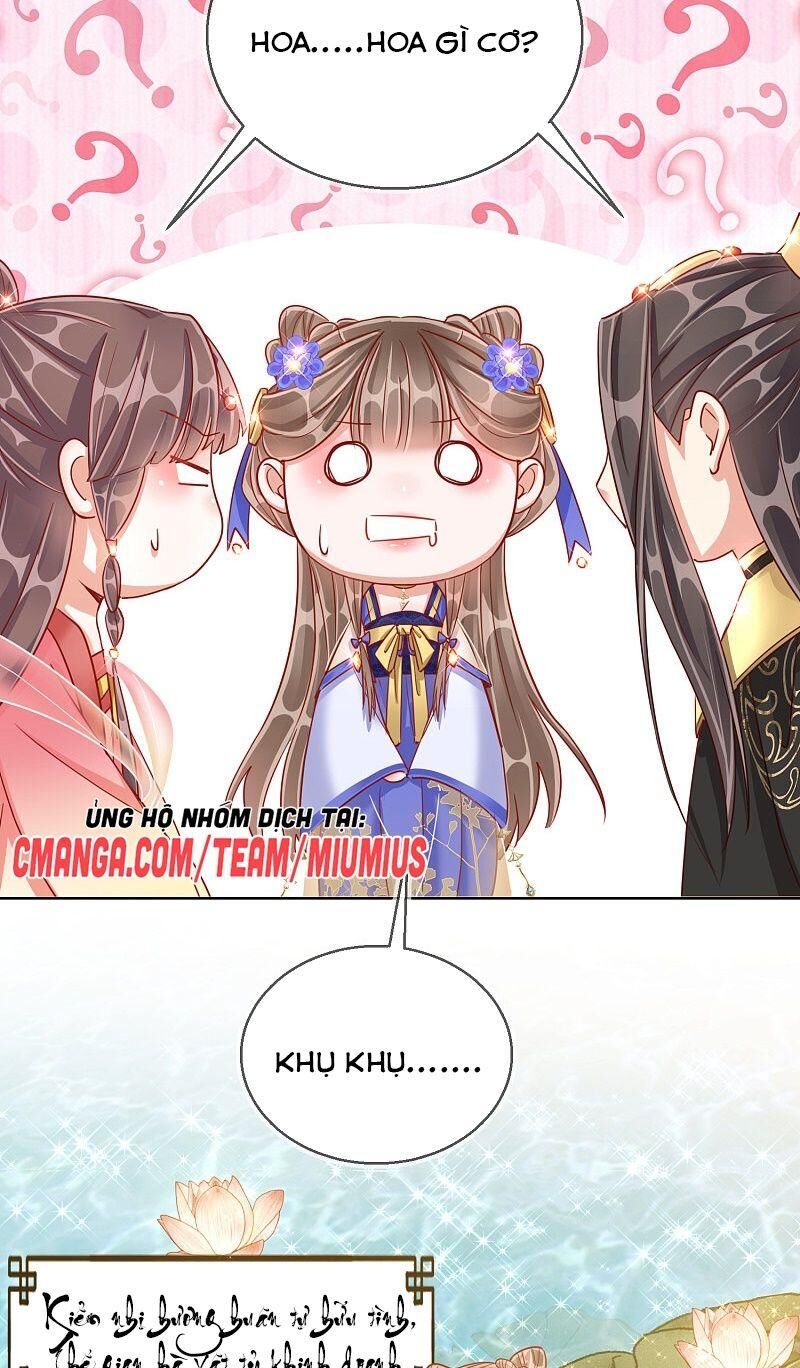 Công Lược Trưởng Thành Của Vương Phi - Chương 29 - Trang 28