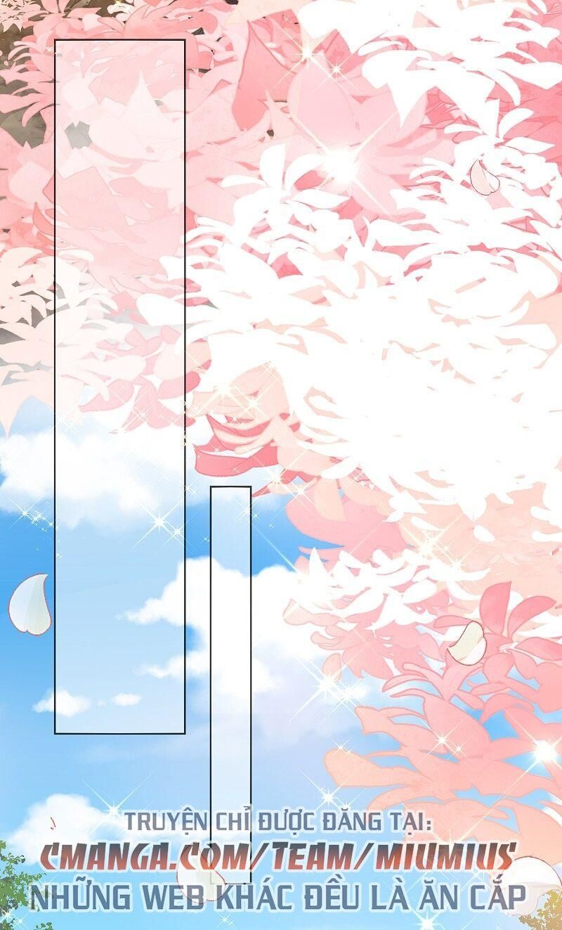 Công Lược Trưởng Thành Của Vương Phi - Chương 29 - Trang 10