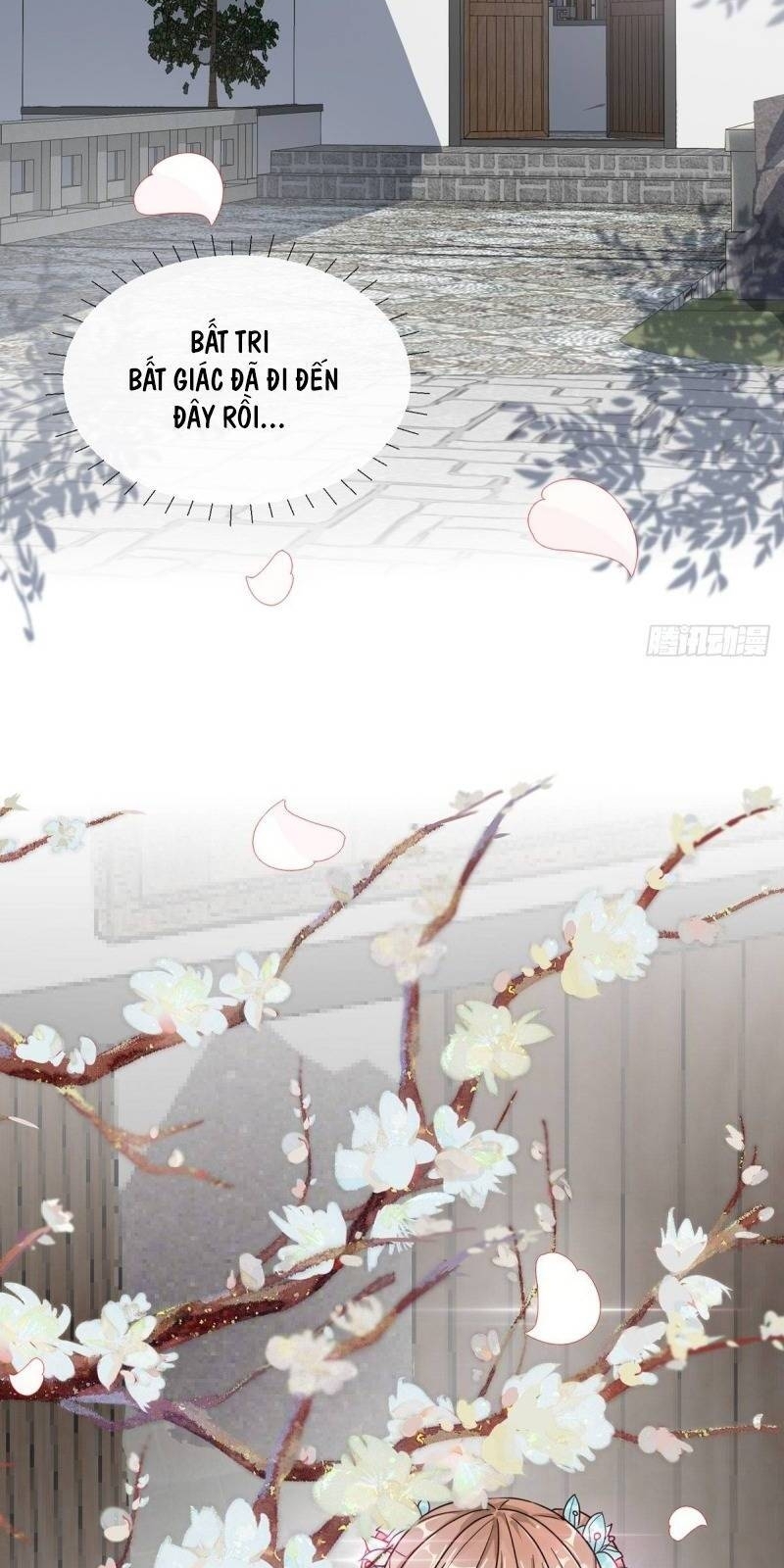 Công Lược Trưởng Thành Của Vương Phi - Chương 3 - Trang 16