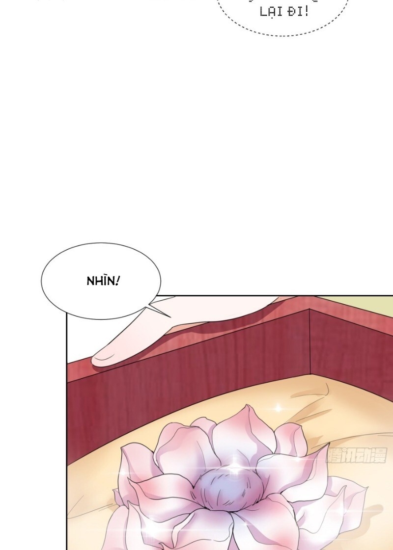 Công Lược Trưởng Thành Của Vương Phi - Chương 6 - Trang 4