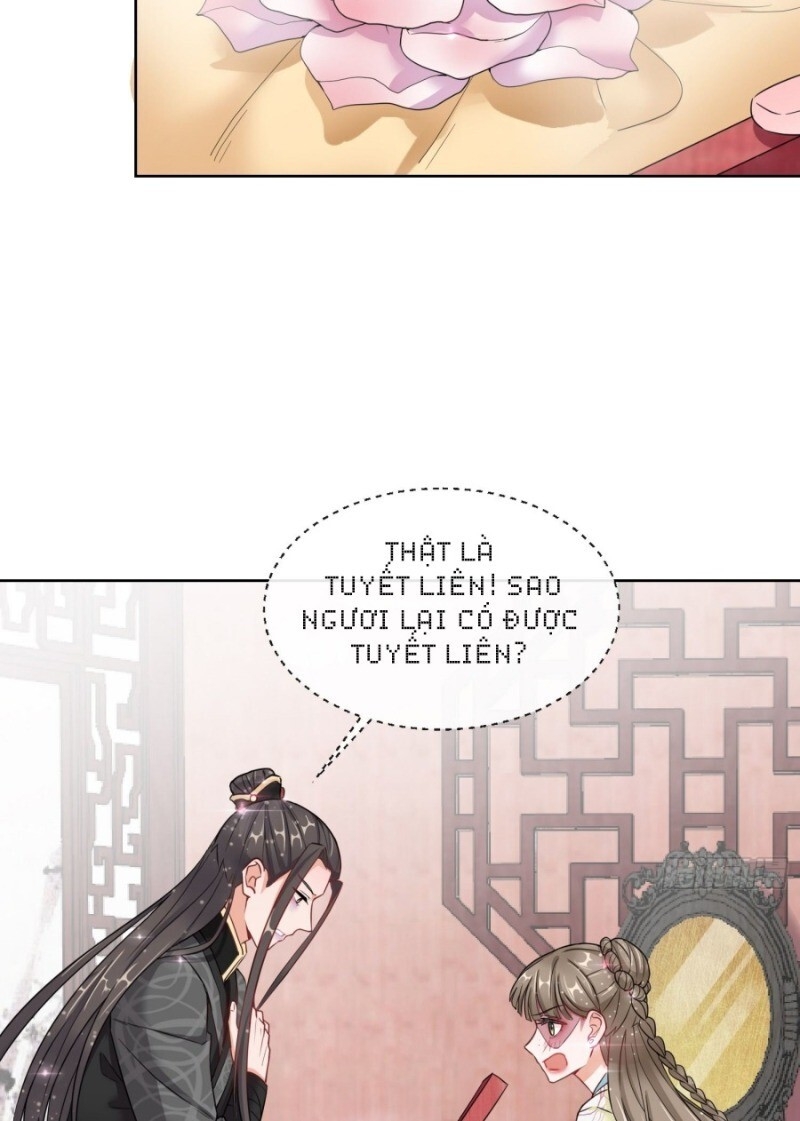 Công Lược Trưởng Thành Của Vương Phi - Chương 6 - Trang 5