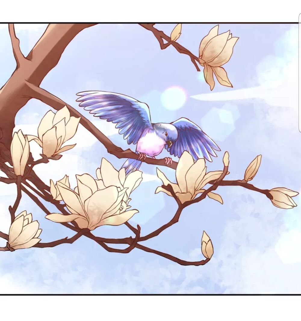 Quận Chúa Cẩn Thận, Đã Định Rồi Khó Đổi Lắm! - Chương 3 - Trang 46