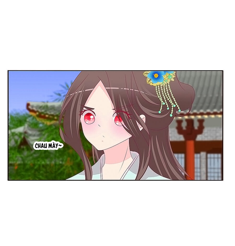 Tướng Quân Xin Xuất Chinh - Chương 181 - Trang 13