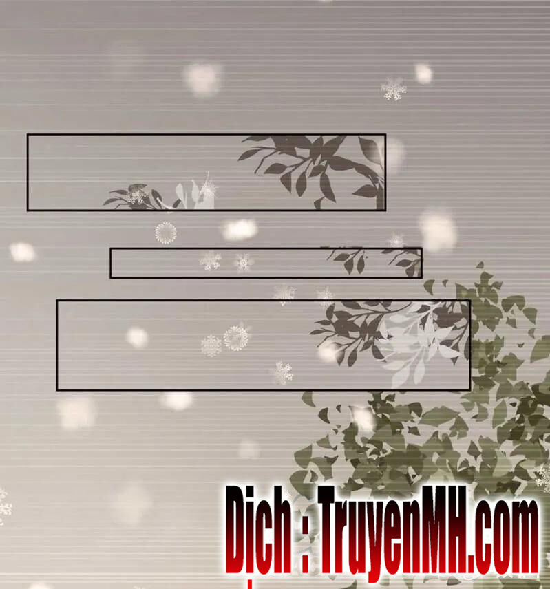 Hôn Sai 55 Lần - Chương 114 - Trang 11