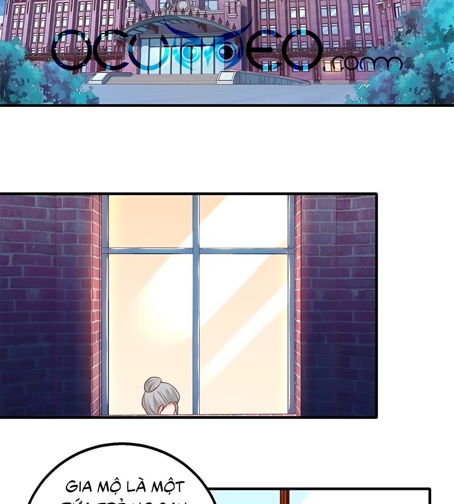 Một Thai Hai Bảo : Đưa Mami Về Nhà ! - Chương 246 - Trang 28