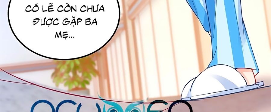 Một Thai Hai Bảo : Đưa Mami Về Nhà ! - Chương 309 - Trang 11