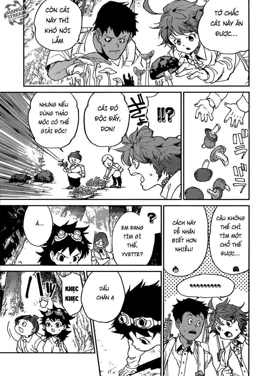 The Promised Neverland - Chương 114 - Trang 8