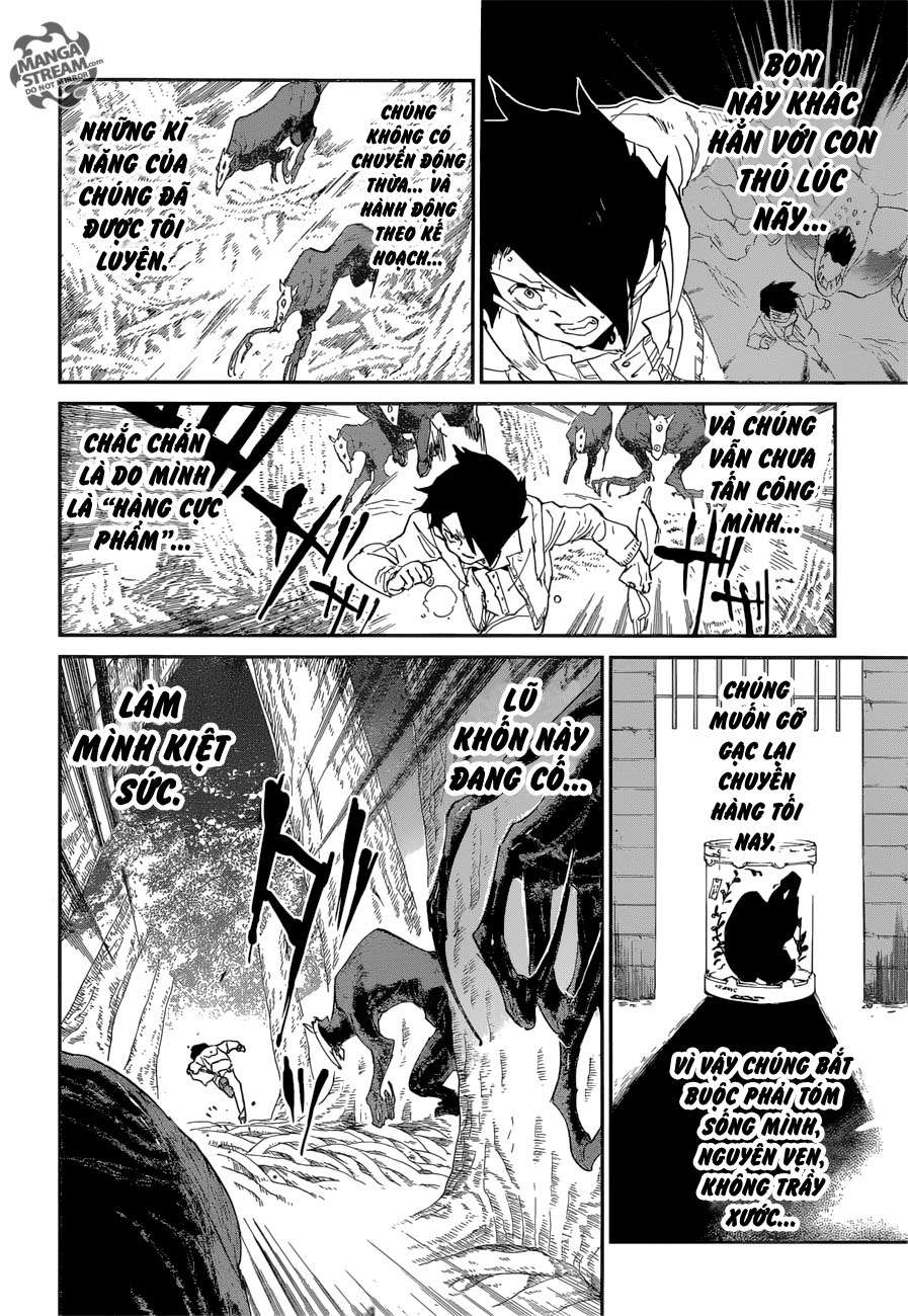 The Promised Neverland - Chương 44 - Trang 8
