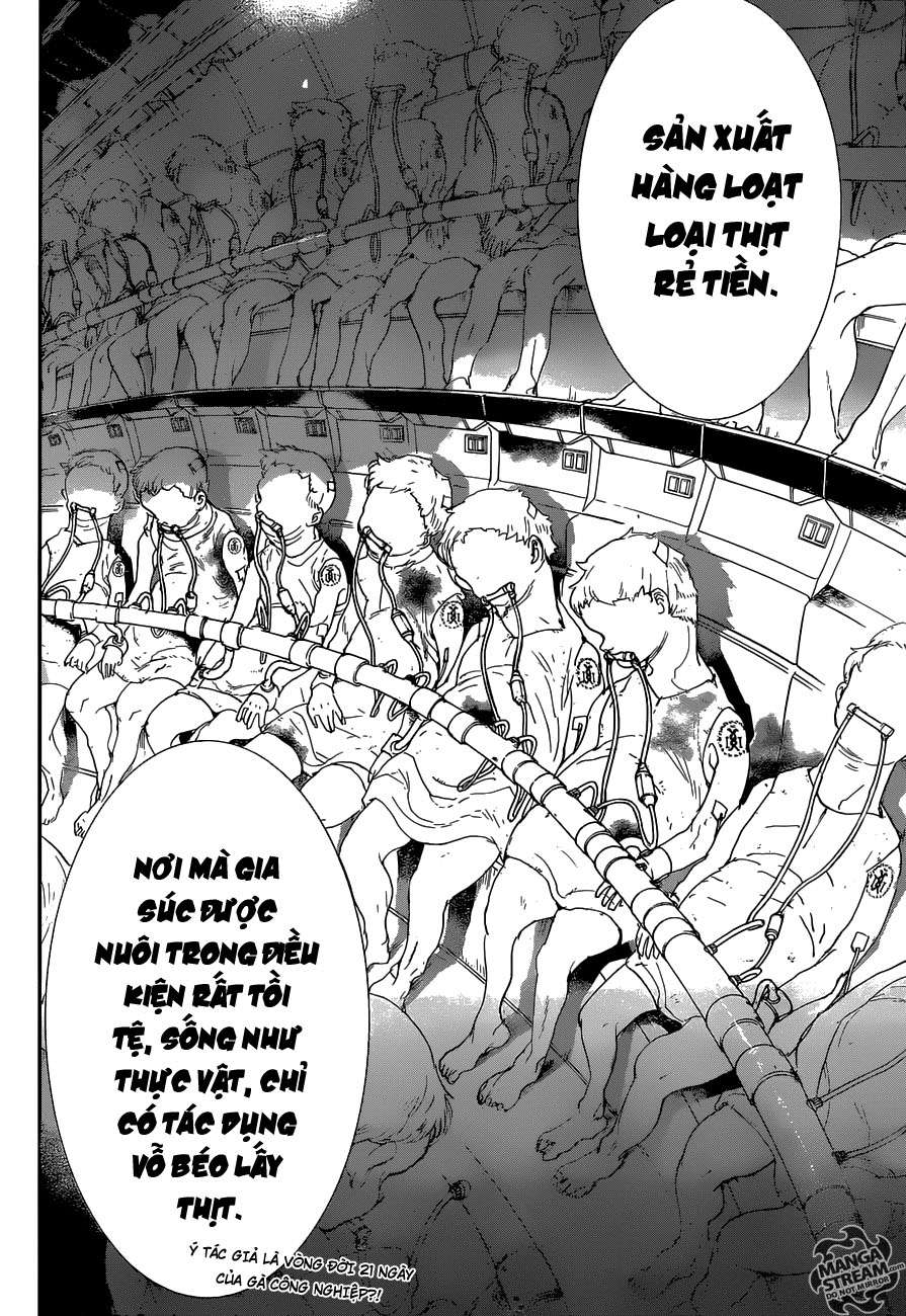 The Promised Neverland - Chương 50 - Trang 10
