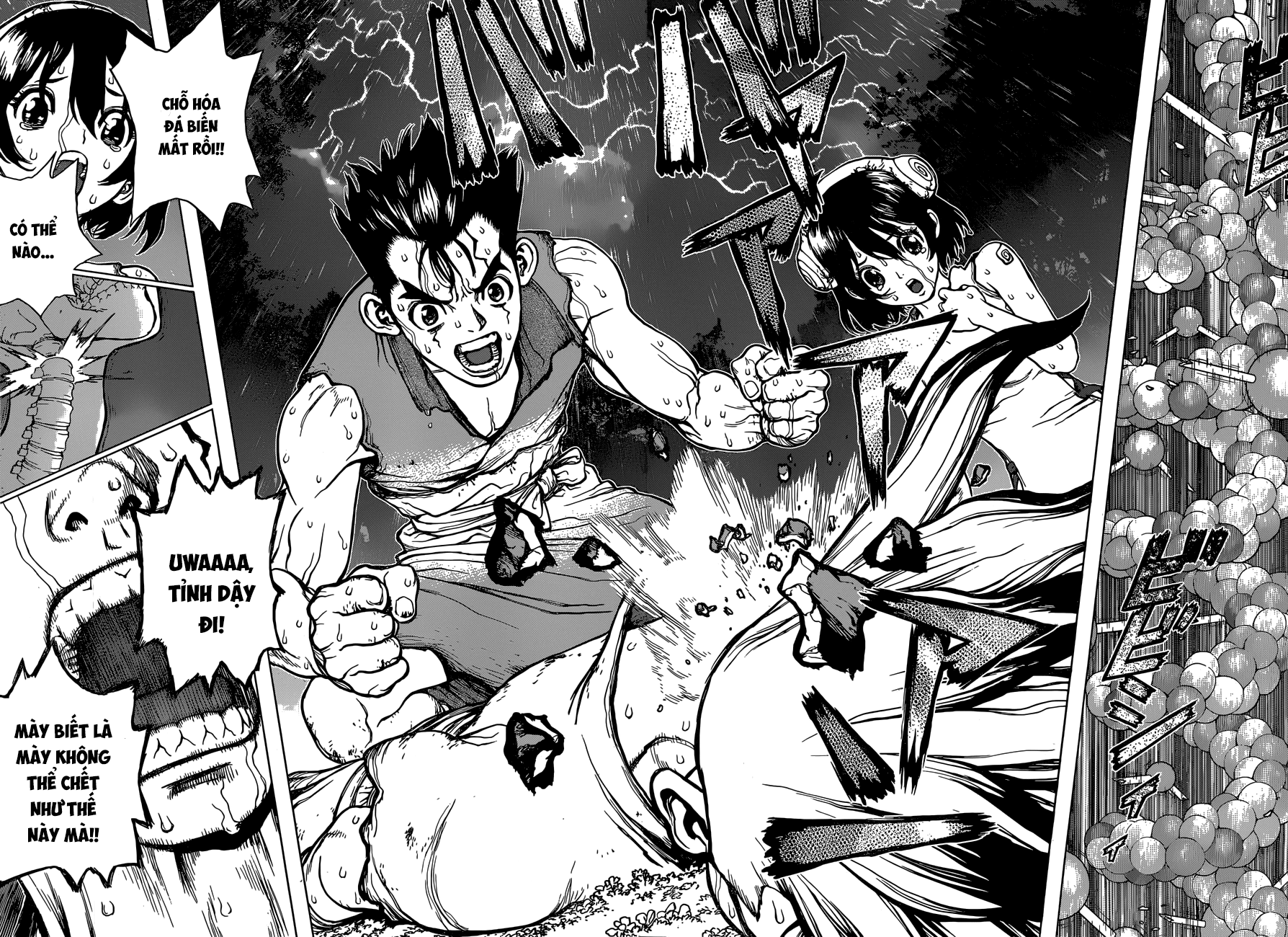 Dr.stone - Chương 12 - Trang 15