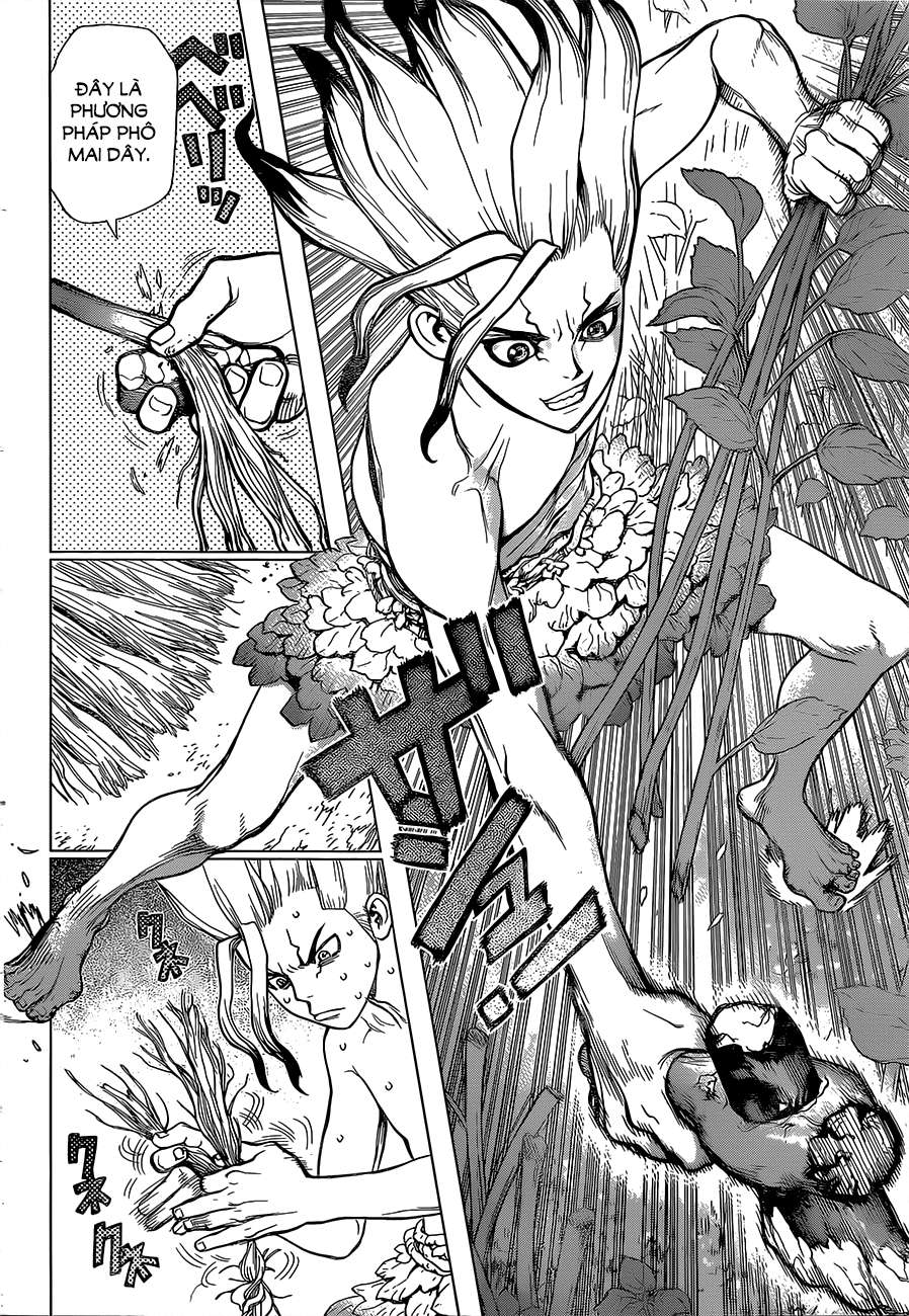 Dr.stone - Chương 13 - Trang 14