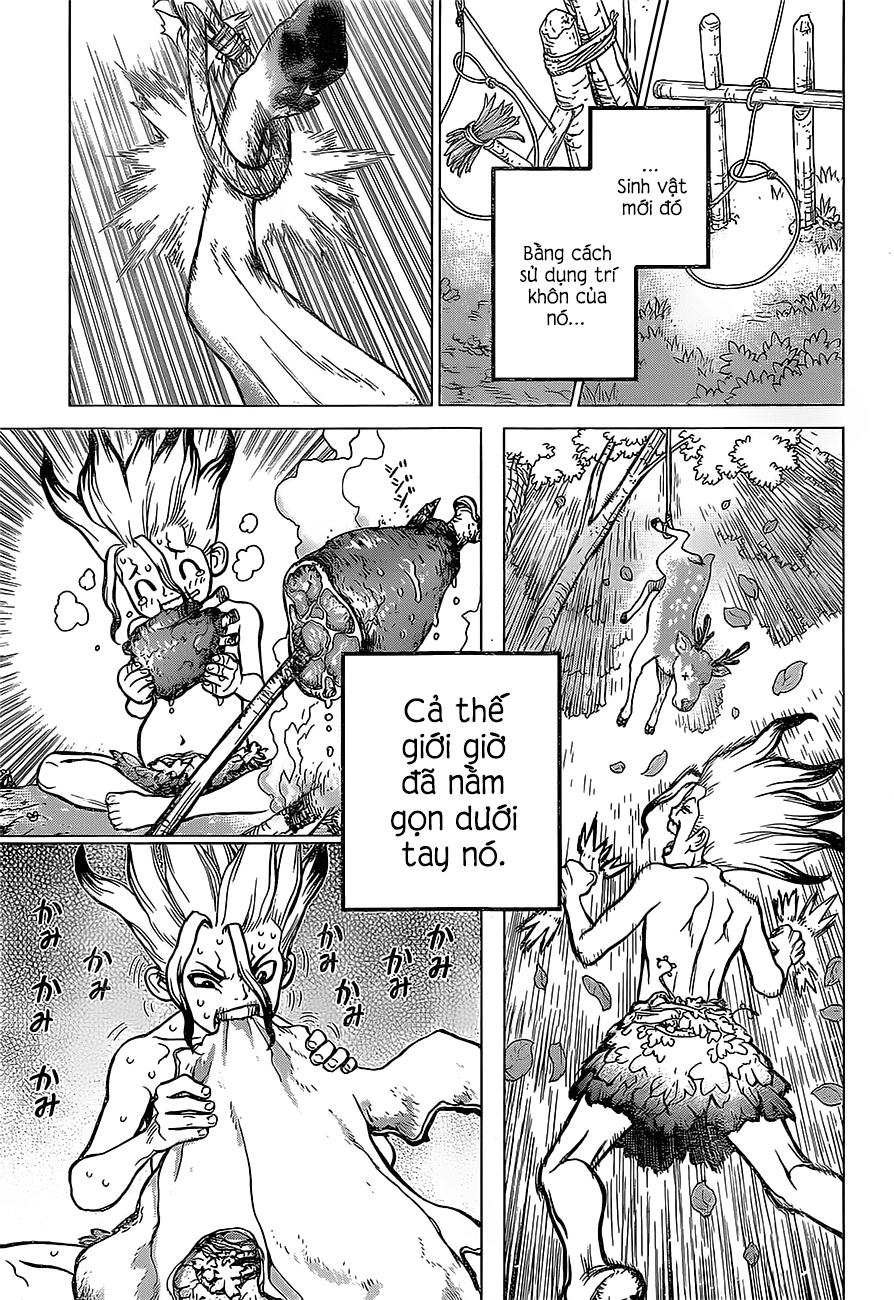 Dr.stone - Chương 13 - Trang 17