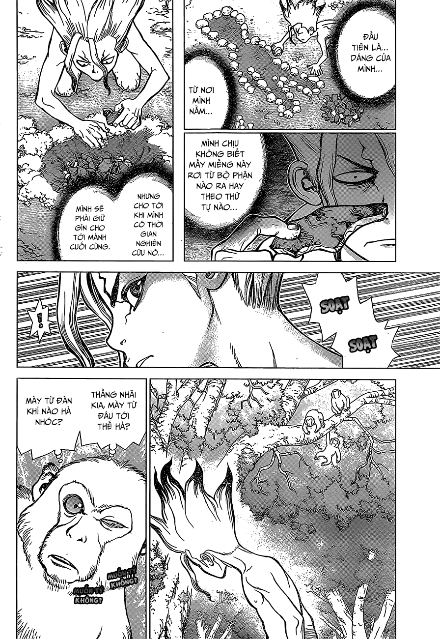 Dr.stone - Chương 13 - Trang 5