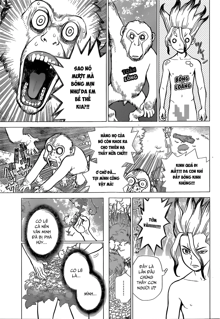 Dr.stone - Chương 13 - Trang 6