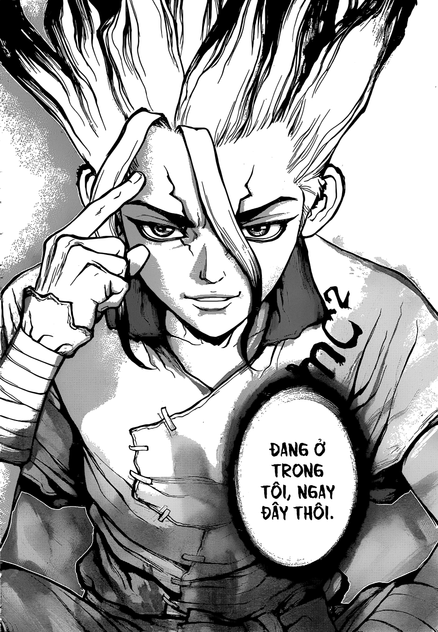 Dr.stone - Chương 19 - Trang 17