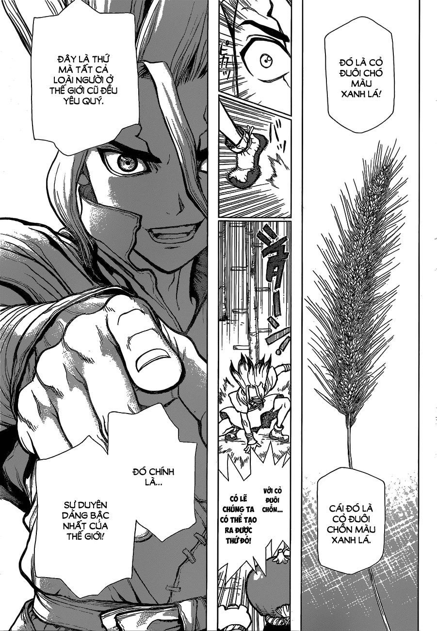 Dr.stone - Chương 22 - Trang 10