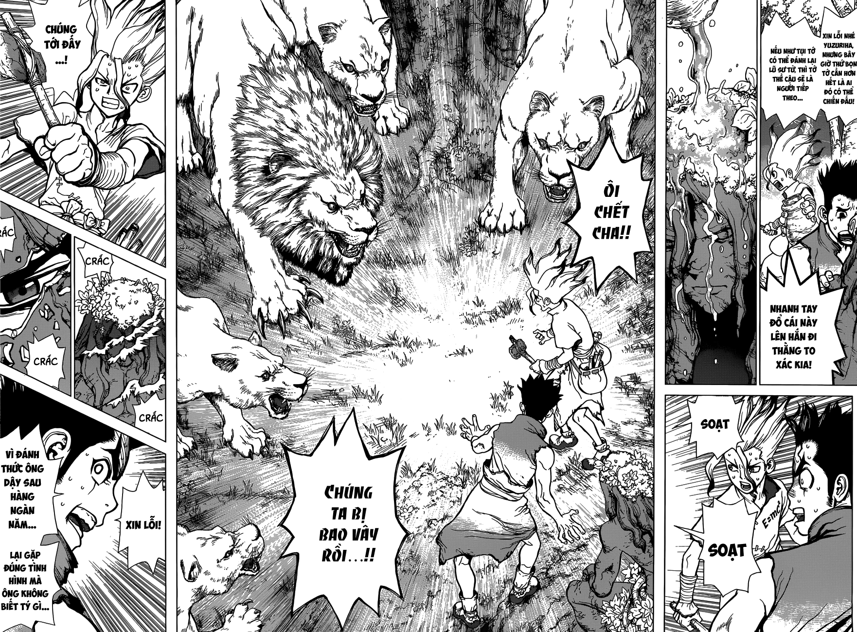 Dr.stone - Chương 3 - Trang 16