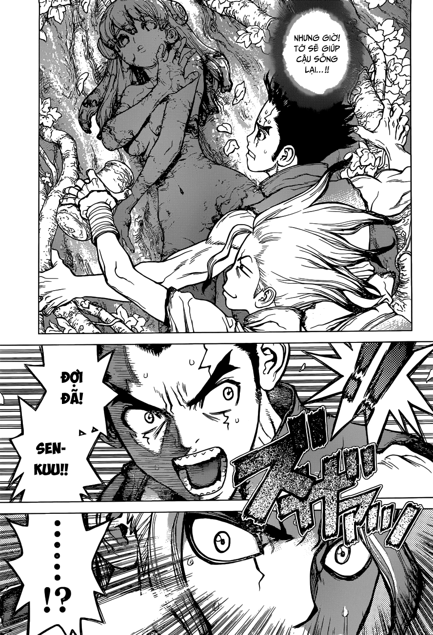 Dr.stone - Chương 3 - Trang 5