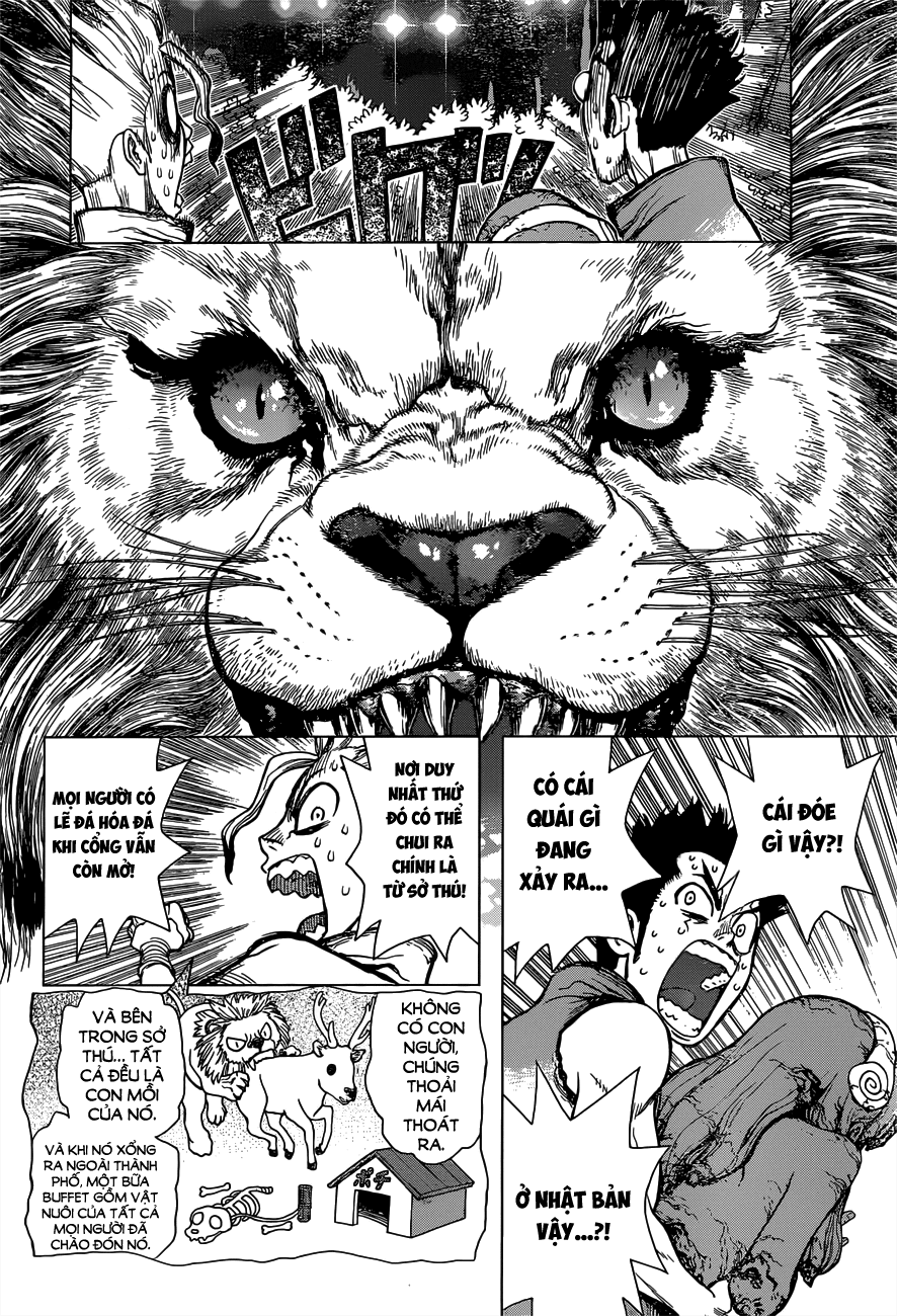Dr.stone - Chương 3 - Trang 8