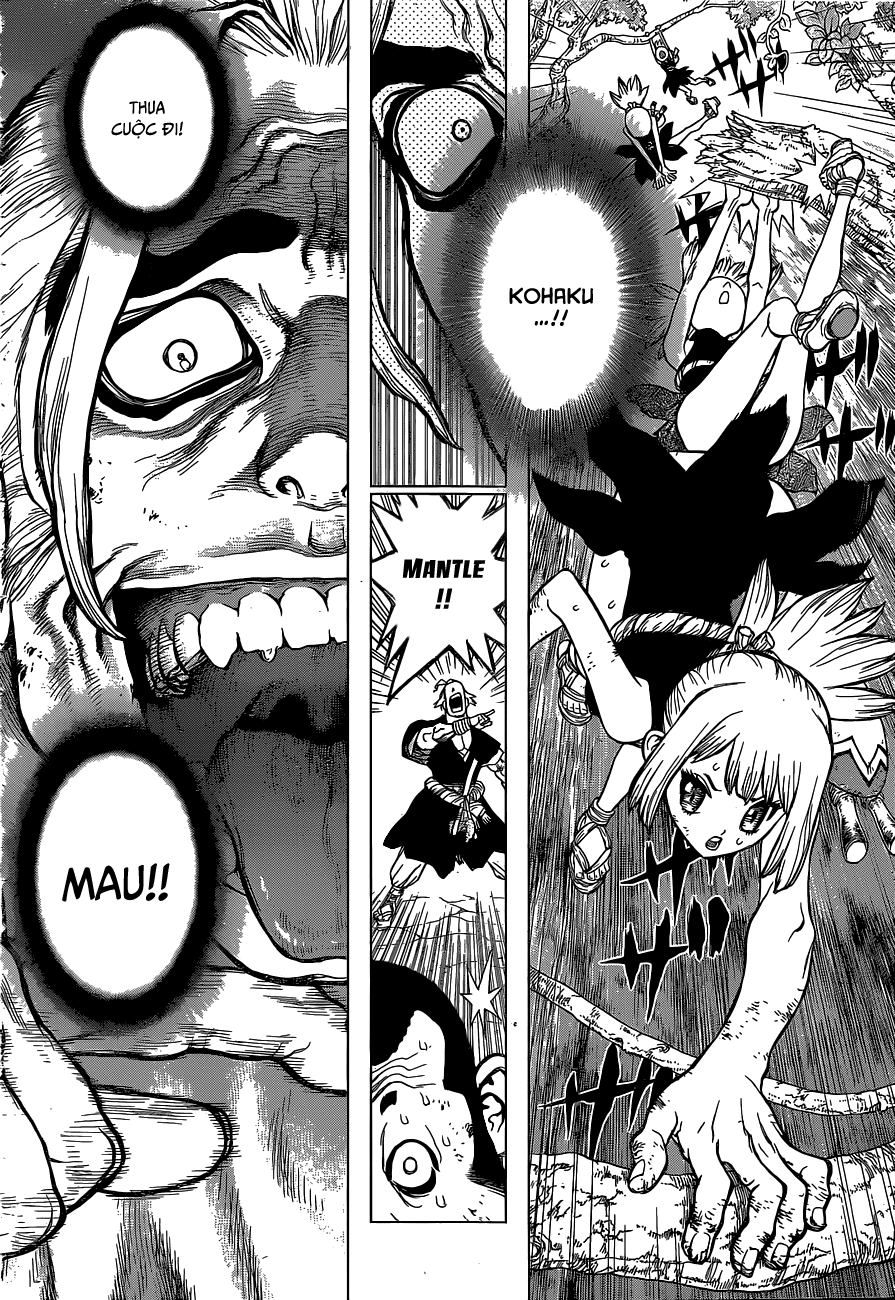 Dr.stone - Chương 36 - Trang 11