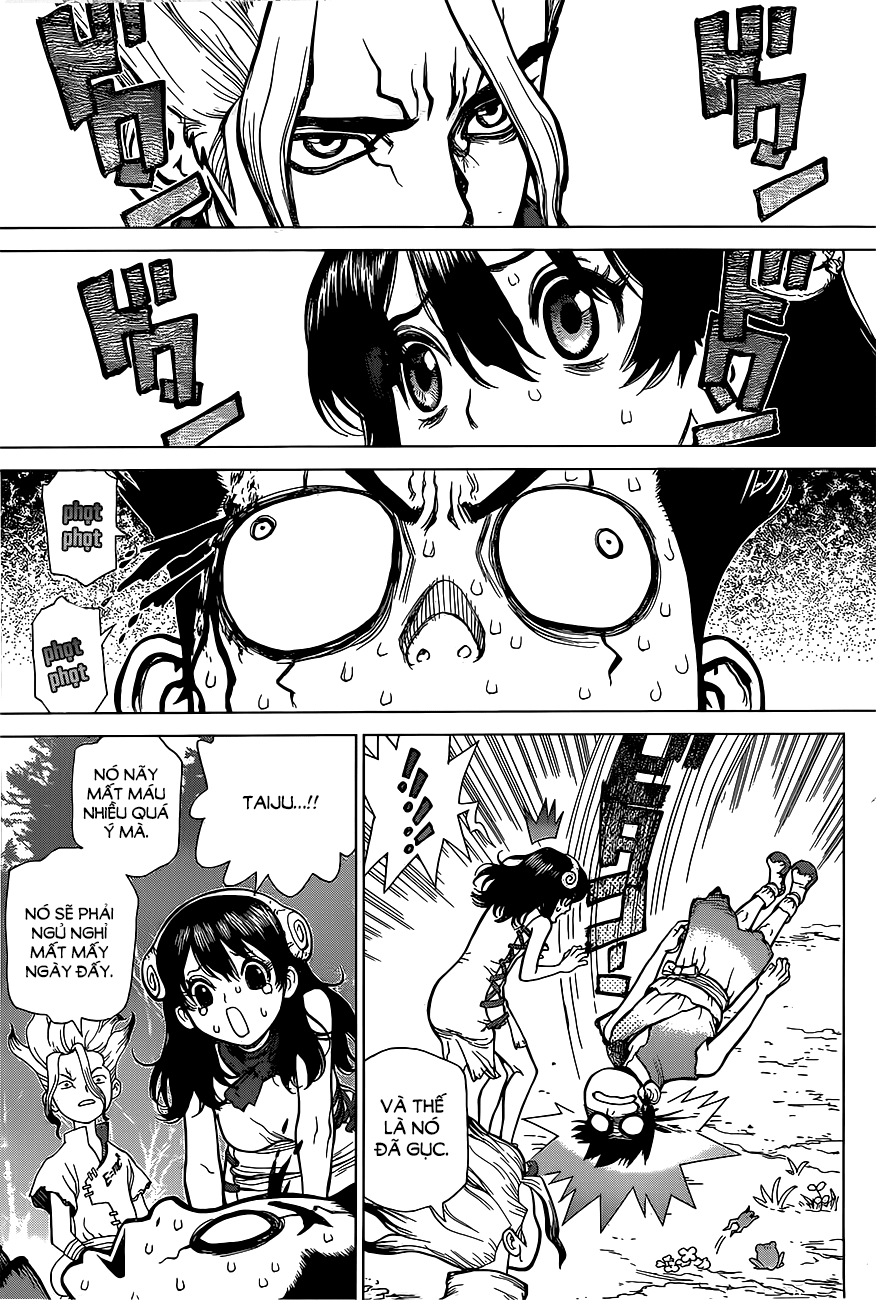 Dr.stone - Chương 6 - Trang 14