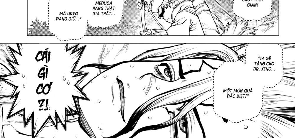 Dr.stone - Chương 161 - Trang 6