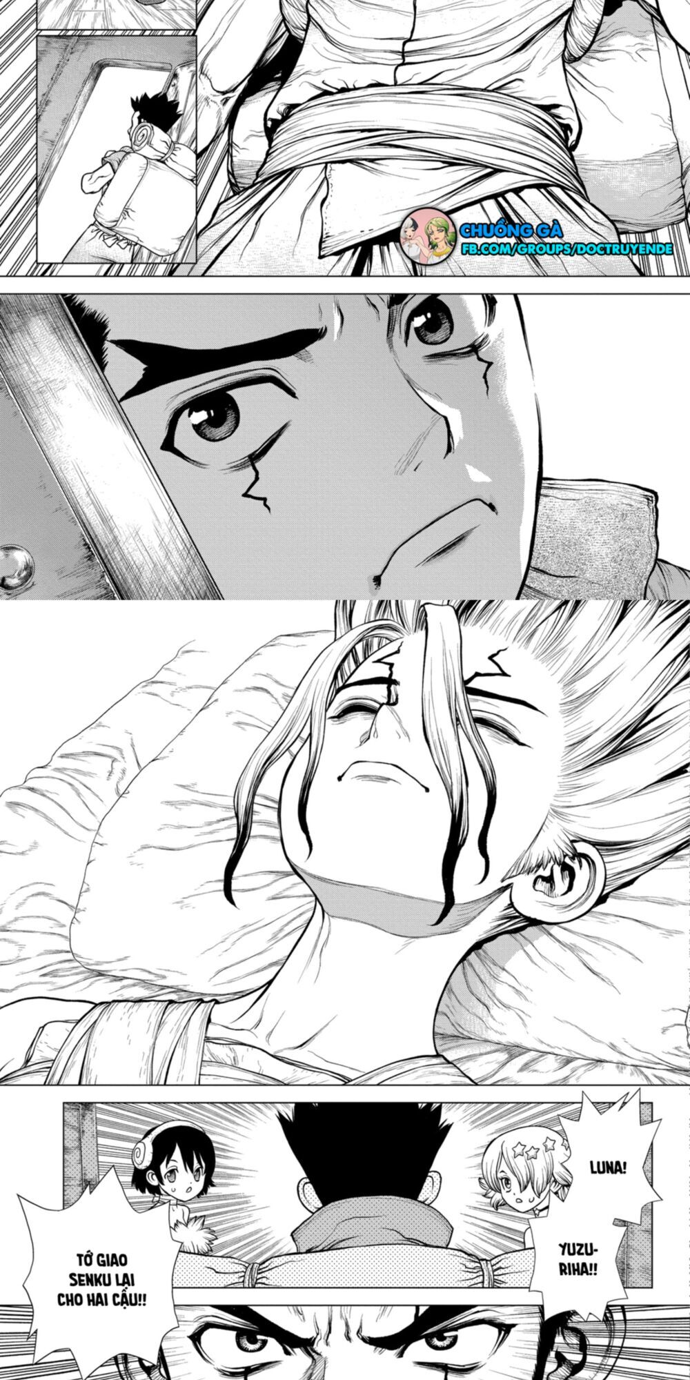 Dr.stone - Chương 162 - Trang 5