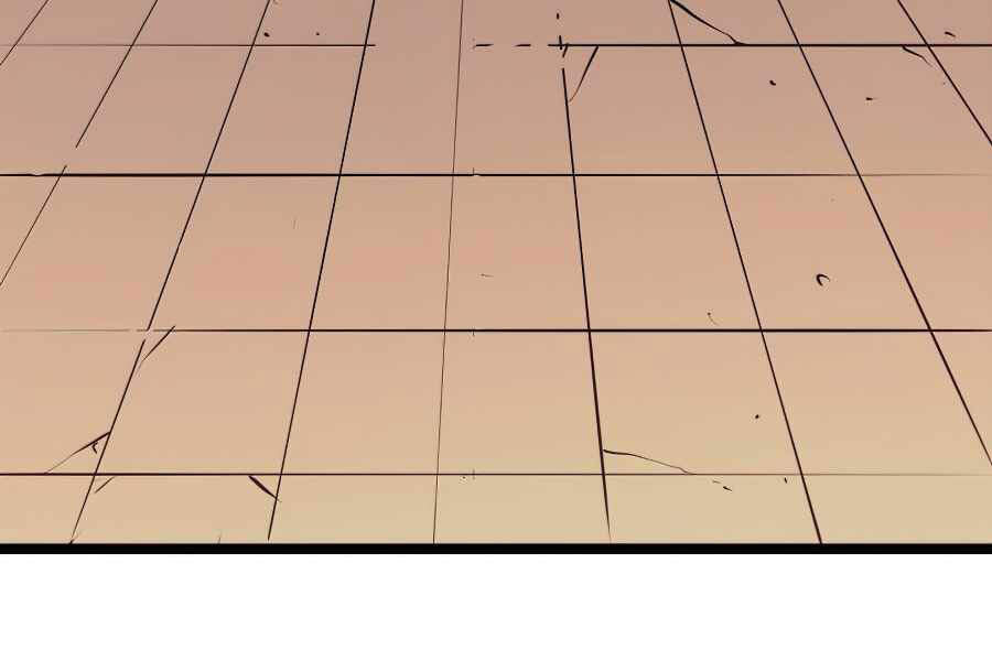 Tôi Trở Lại Thăng Cấp Một Mình - Chương 105 - Trang 13