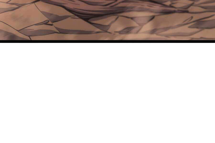 Tôi Trở Lại Thăng Cấp Một Mình - Chương 110 - Trang 204