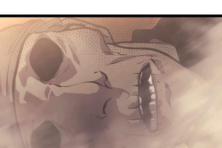 Tôi Trở Lại Thăng Cấp Một Mình - Chương 110 - Trang 208