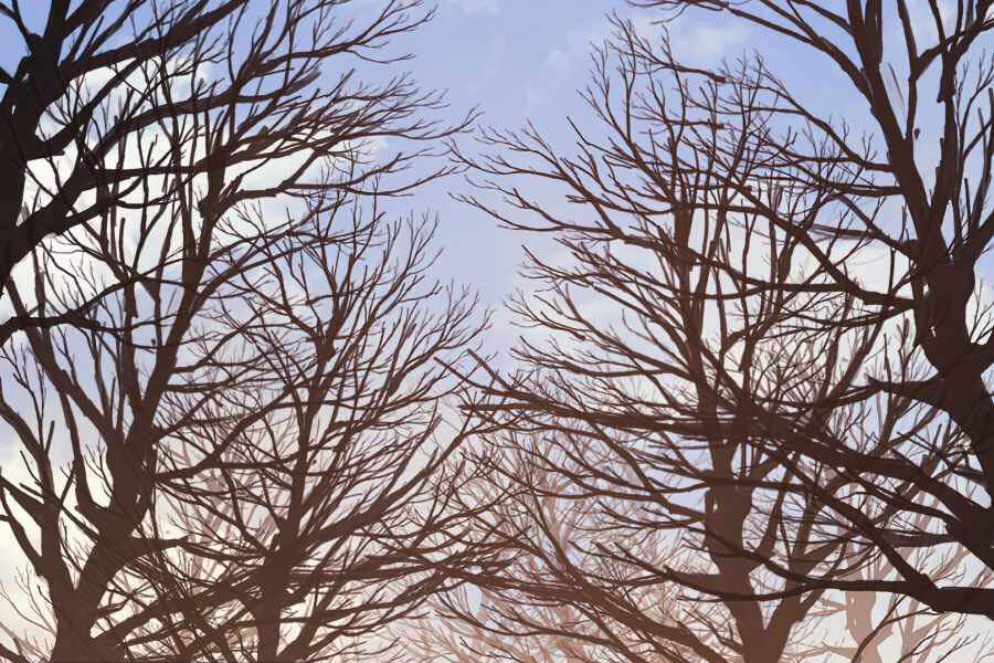 Tôi Trở Lại Thăng Cấp Một Mình - Chương 111 - Trang 110